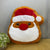 Decorative Pillow - Christmas #3