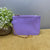 Card Holder Wallet + Keychain - Nylon - Purple